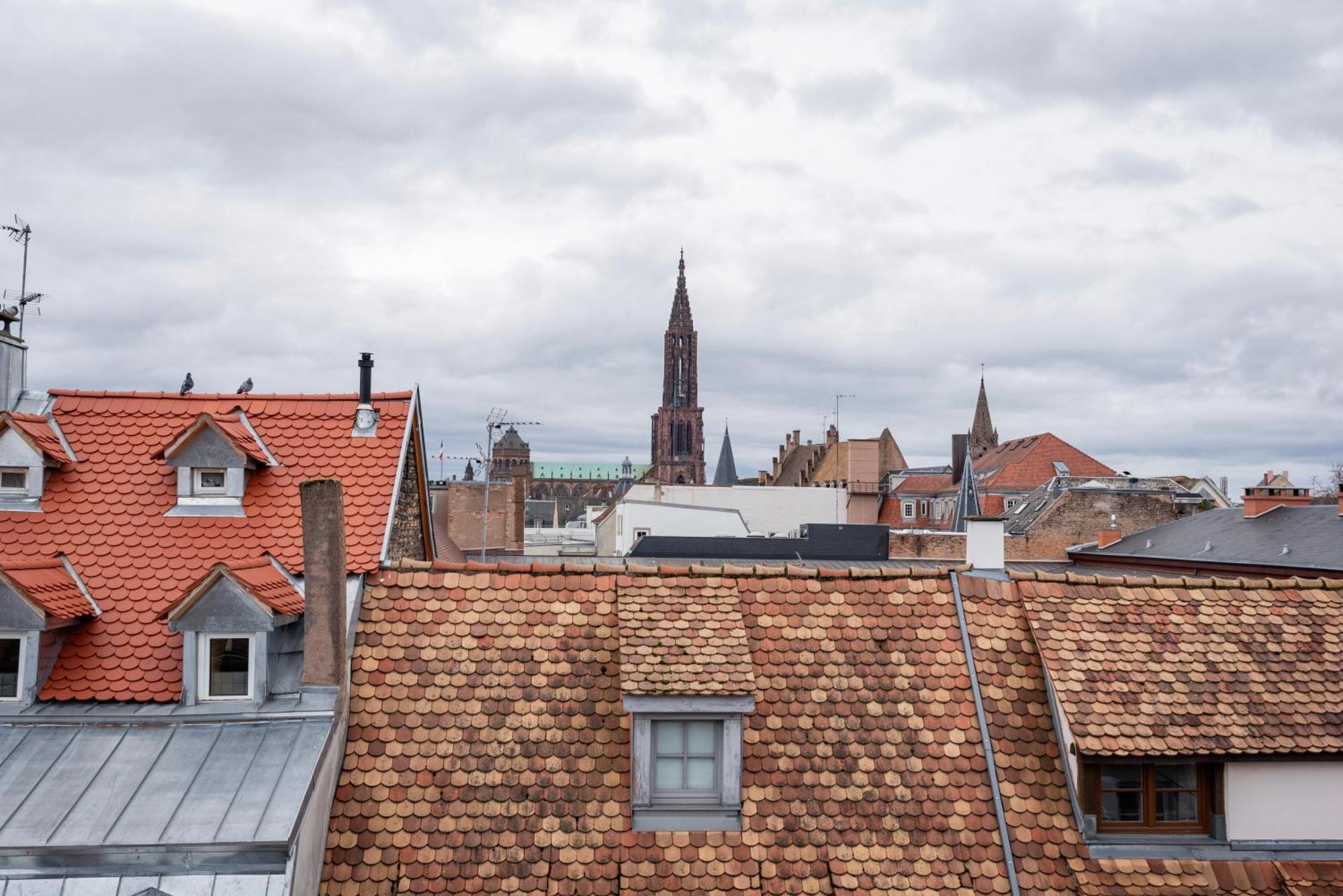 Le Schoepflin - Coeur De Strasbourg - Vue Toits ภายนอก รูปภาพ