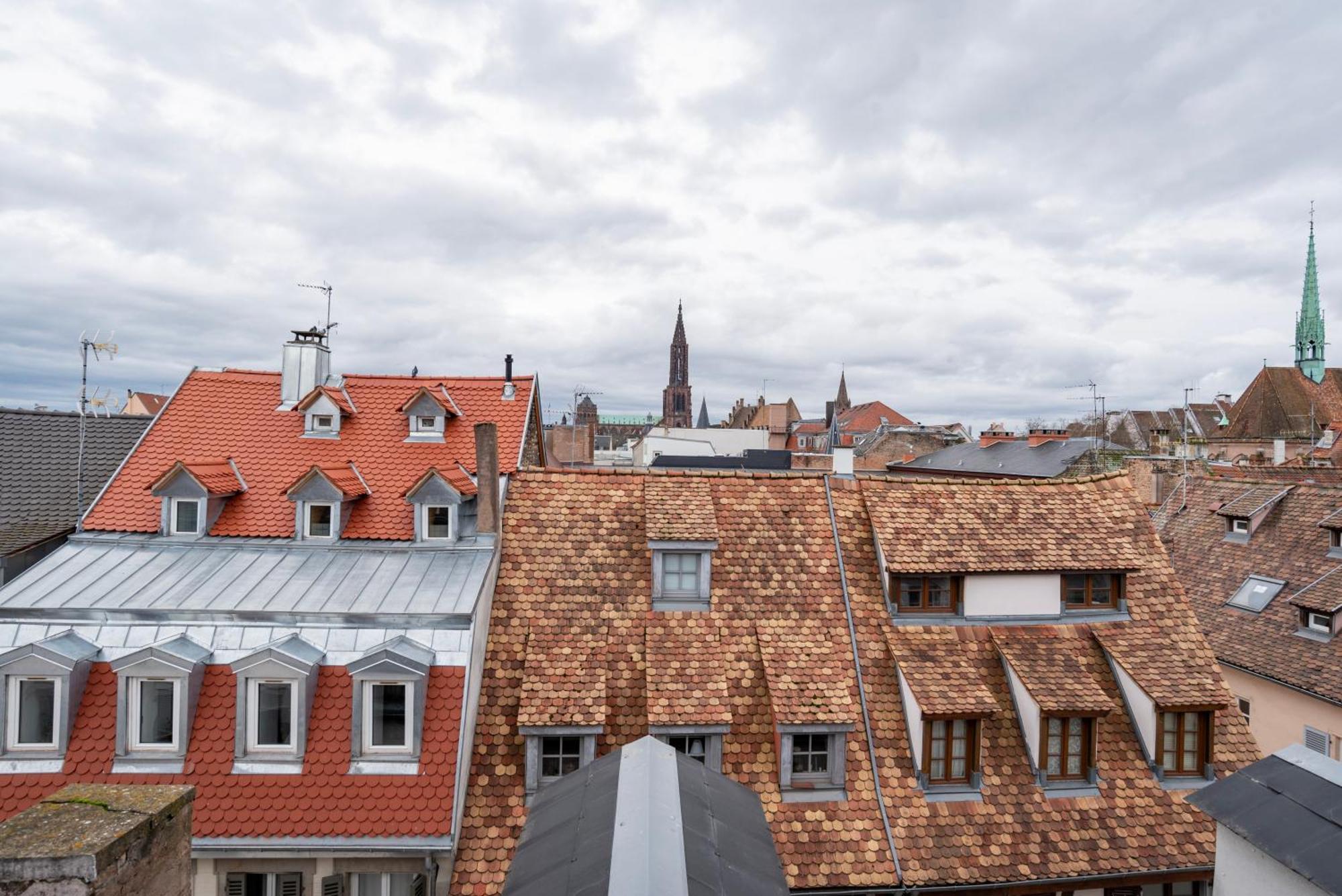 Le Schoepflin - Coeur De Strasbourg - Vue Toits ภายนอก รูปภาพ
